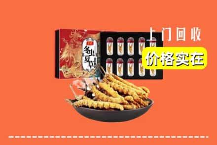 梅州市大埔回收虫草