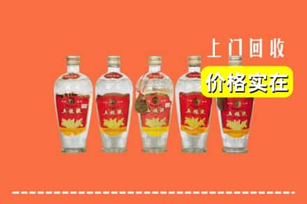梅州市大埔回收老五粮液